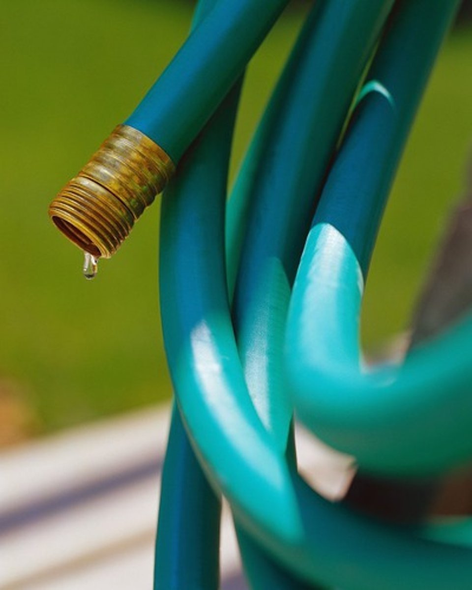 <p>the hose</p>