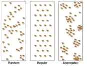 <ul><li><p>Berücksichtigung der Unterschiede in der Individuenverteilung</p></li><li><p class="MsoListParagraphCxSpLast">Daten von mehreren Stichproben erlauben auch den Schätzfehler bei der Populationsgrößenabschätzung zu bestimmen</p></li></ul><p></p>