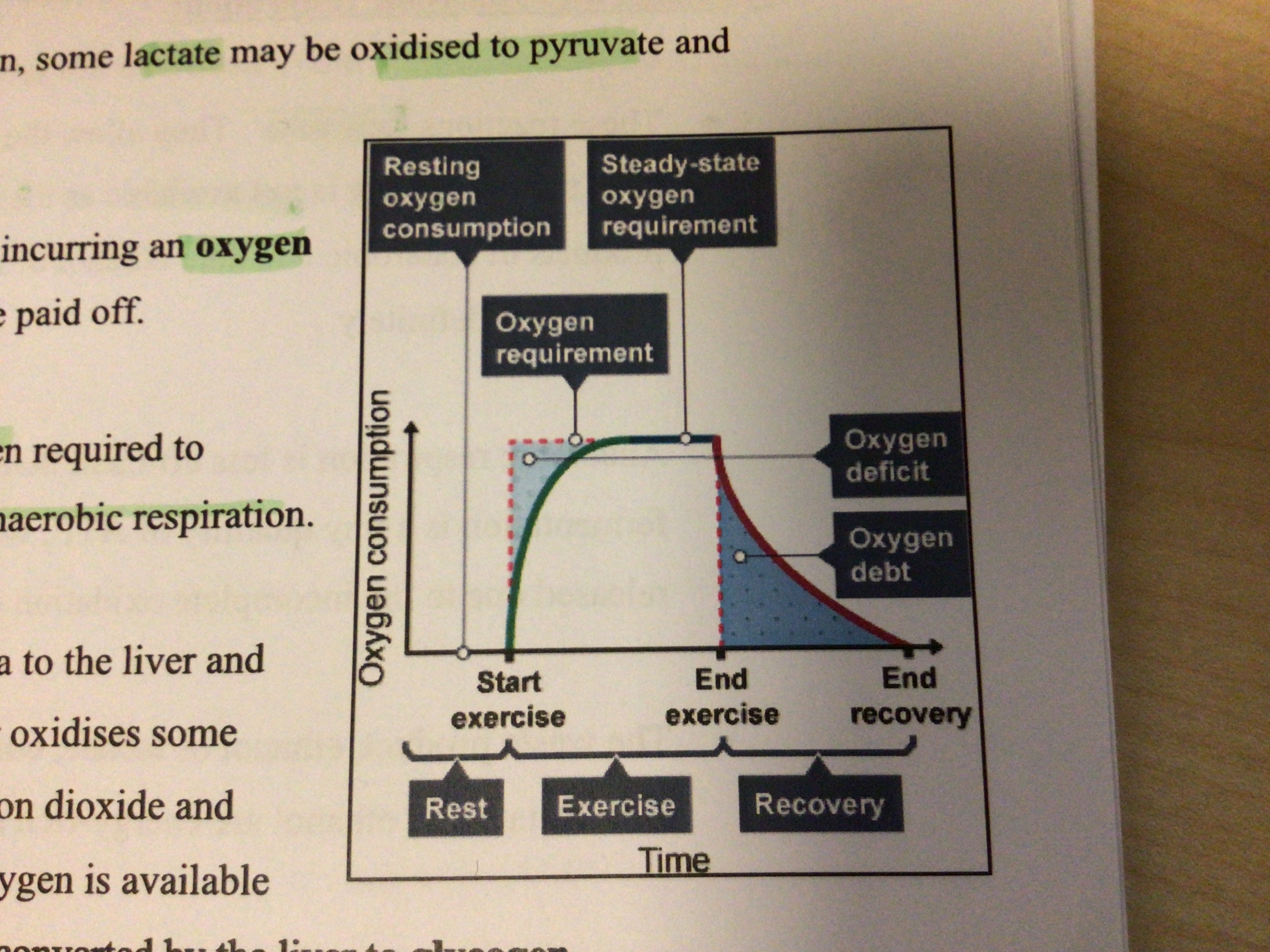 <p>The volume of oxygen required to oxidise the lactate built up during anaerobic respiration</p>