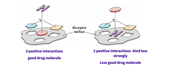 <ul><li><p>interaction of a drug with a receptor ( action) </p></li><li><p>interaction of a drug with an enzyme( metabolism and action)</p></li><li><p>recognition of shape = vital</p></li><li><p>more positive interactions = good drug molecule = binds strongly&nbsp;</p></li></ul><p></p>