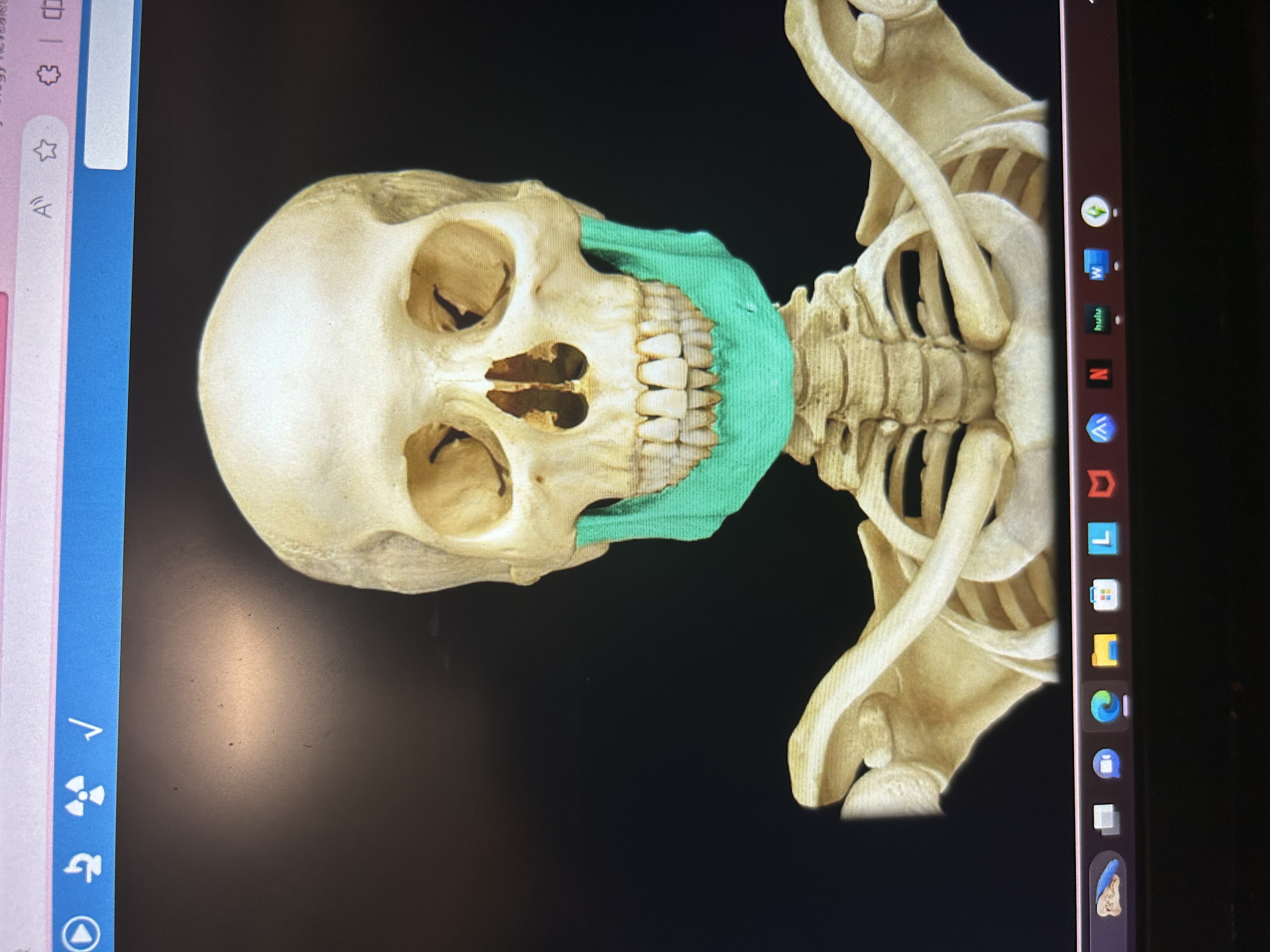 knowt flashcard image