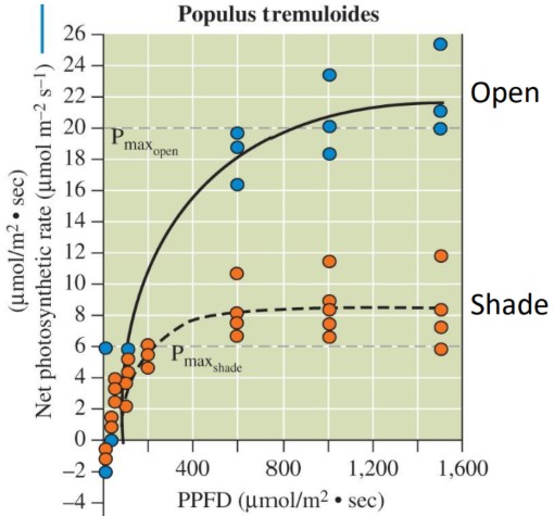 Response Curves Within a Species

\
Open vs Shade: Pmax & Lsat