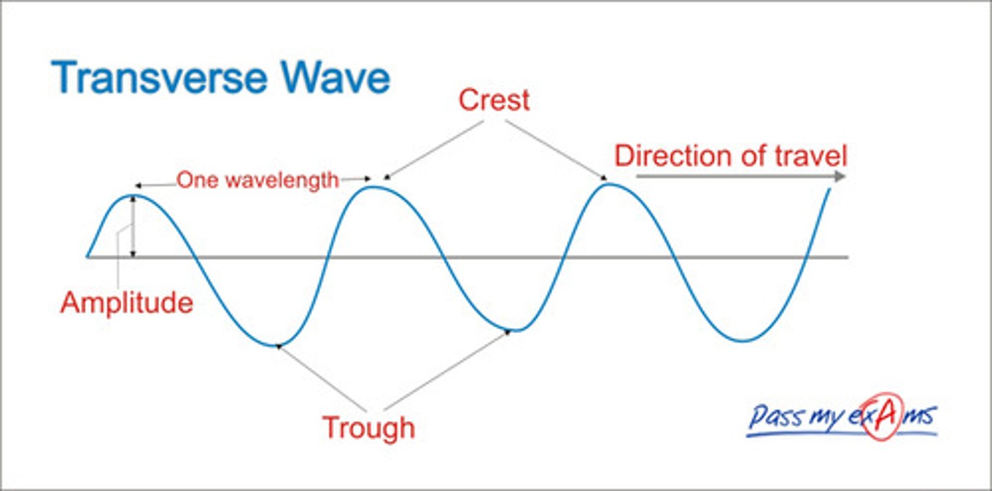 <p>The particles oscillate perpendicular to the direction of energy transfer (propagation) consisting of particles moving from an equilbrium to peak and troughs.</p>