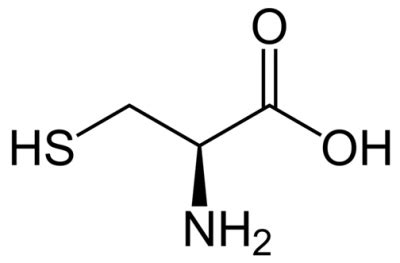 <ul><li><p>Thiol (–SH) group</p></li><li><p>Polar</p></li><li><p><strong>Disulfide bonds</strong></p></li></ul><p></p>
