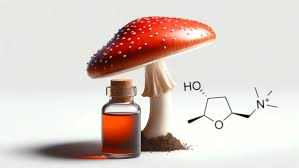 <p><strong>muscarine </strong></p><ul><li><p>a <strong>toxin</strong> from certain speicies of <strong>poisonous mushrooms </strong></p></li></ul><p></p>