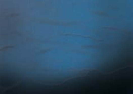 <p>What cause sags &amp; runs in a finish?</p>