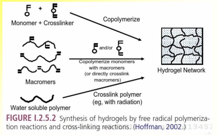 <p>– Synthesize in dry state and put in water </p><p>– Synthesize in aqueous solution and further swell in water</p><p></p><p>Mechanisms of reactions: </p><p>• Chemical cross-linking </p><p>• Photopolymerization: UV </p><p>• Irradiative cross-linking: Electron beam, gamma, X-rays via free radical reactions</p>