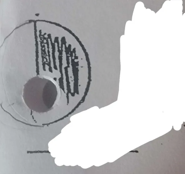 <p>What phase of the moon is this?</p>