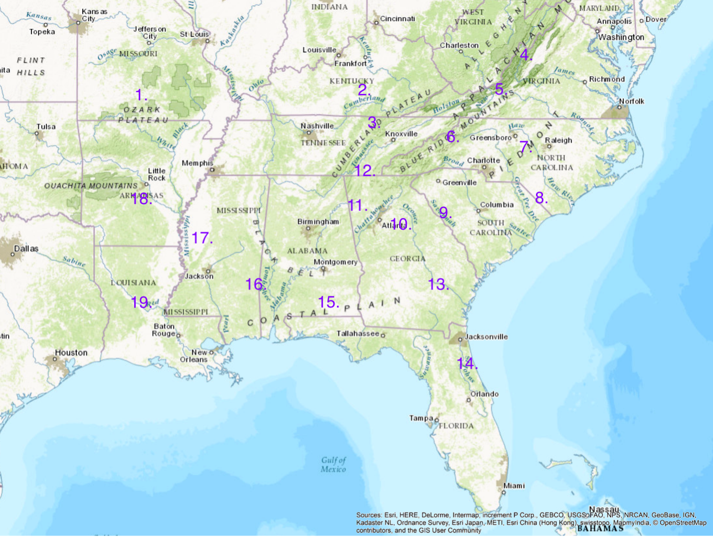 <p><strong>What is Number 14.?</strong></p>