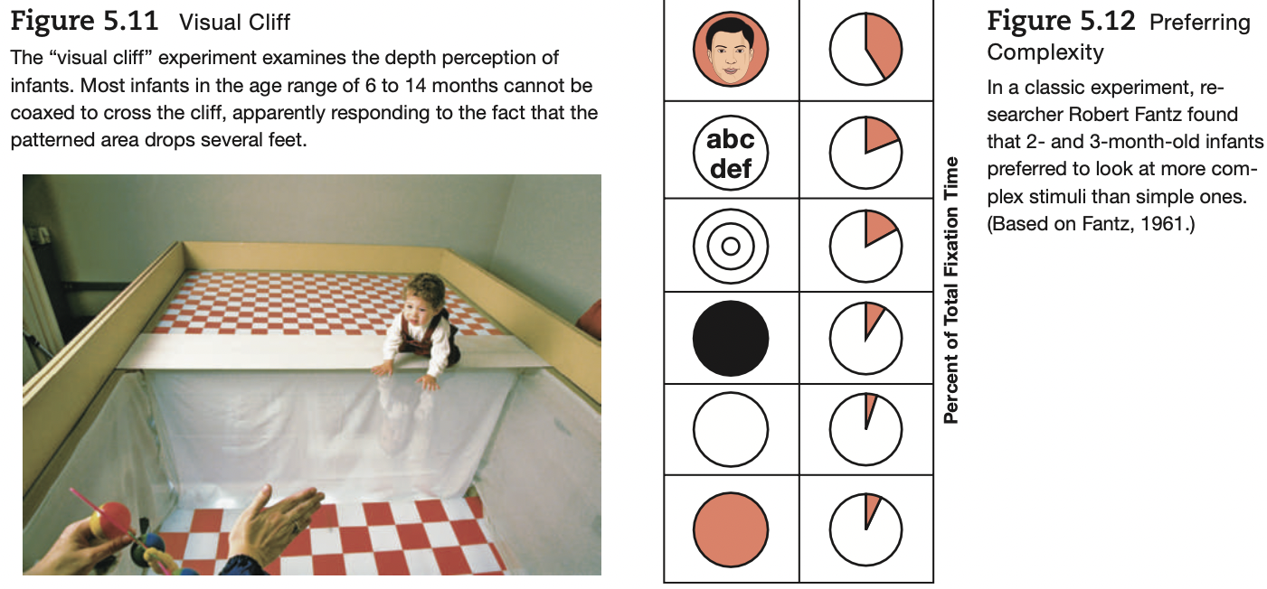 <p>children will not cross a visual cliff, showing depth perception in young infants and toddlers</p>