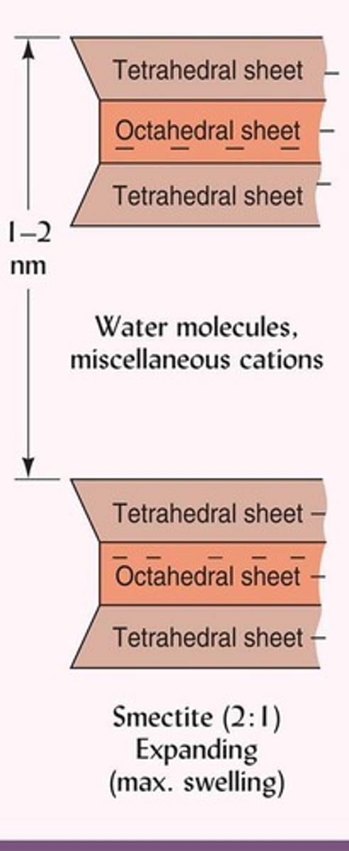 <p>They have a large internal surface area and can swell and shrink significantly.</p>