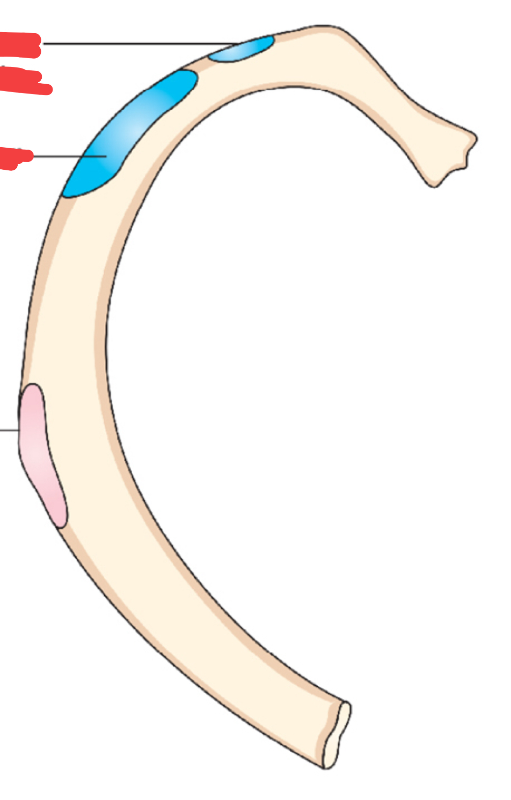 <p>What is the small blue area?</p>
