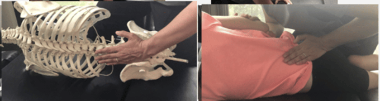 <p>PP: Basic side posture position with the dysfunctional side down-verbalize how you found the segment</p><p>DP: Modified fencer stance on side opposite dysfunction</p><p>CH: Caudal (L) hand, hypothenar (pisiform) on L sacral base down side (just medial to L PSIS)</p><p>IH: Cephalic (R) hand slight upward traction holding the pt's up-side shoulder or overlapping hand</p><p>LOD: P-A</p>