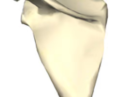 <p>right or left? </p>