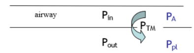 <p><span>Transmural pressure (P<sub>TM</sub>) = P<sub>A</sub> – P<sub>pl</sub></span></p><ul><li><p><span>A positive P<sub>TM</sub> indicates a distending pressure (P<sub>in</sub>&gt;P<sub>out</sub>), it holds the airway open</span></p></li></ul>