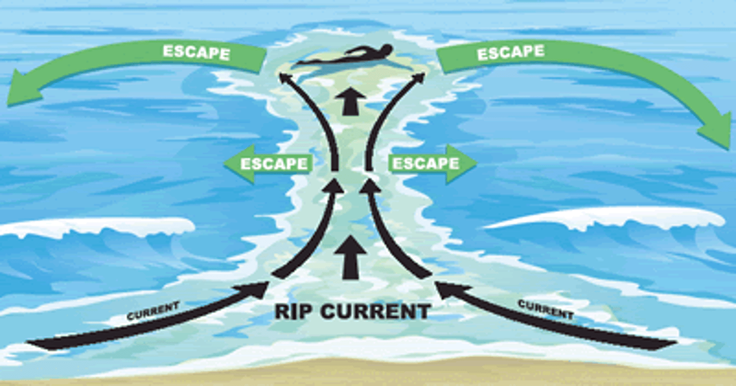 <p>form when strong wind and waves force excess water up onto the beach, water accumulates to a critical point and flows all together down a beach and escapes offshore</p>