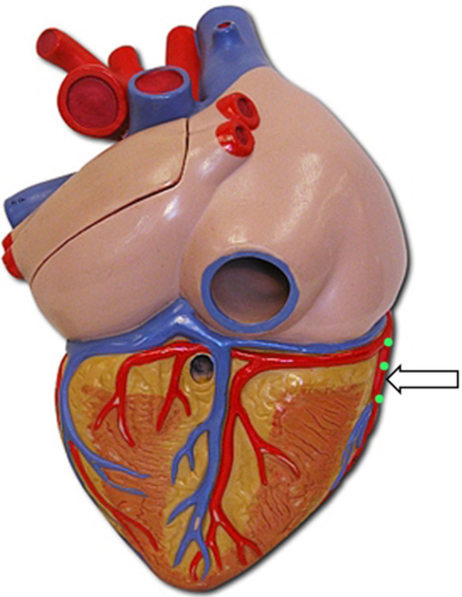 <p>name the structure</p>