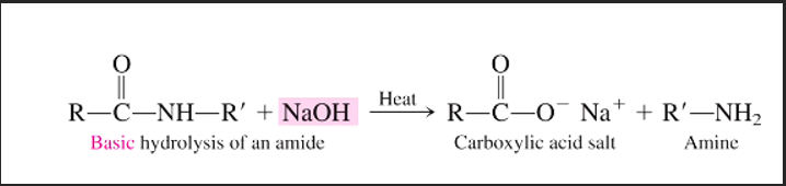 <p>Amide (O=C-N-R) + sodium hydroxyl (base, NaOH) W/ HEAT →&nbsp;carboxylic acid salt (C(-O-)=O Na+) + amine (R-NH)  </p>