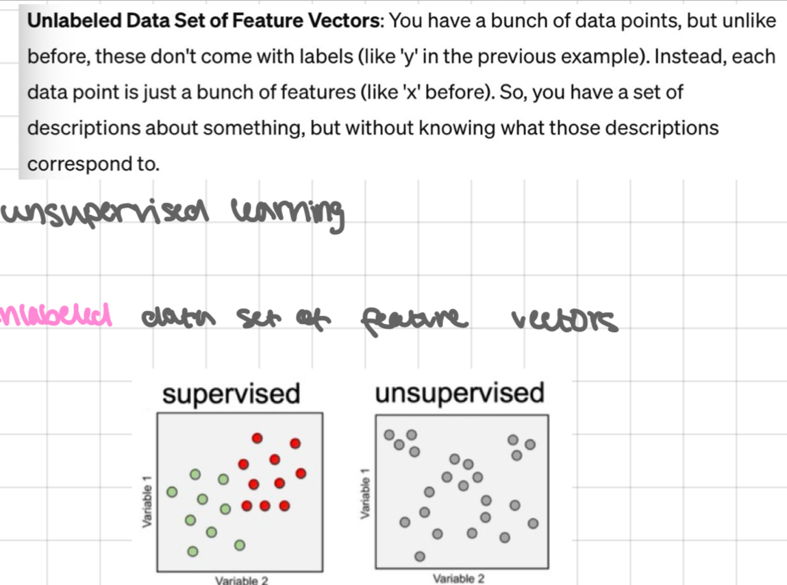 <p>unsupervised learning</p>