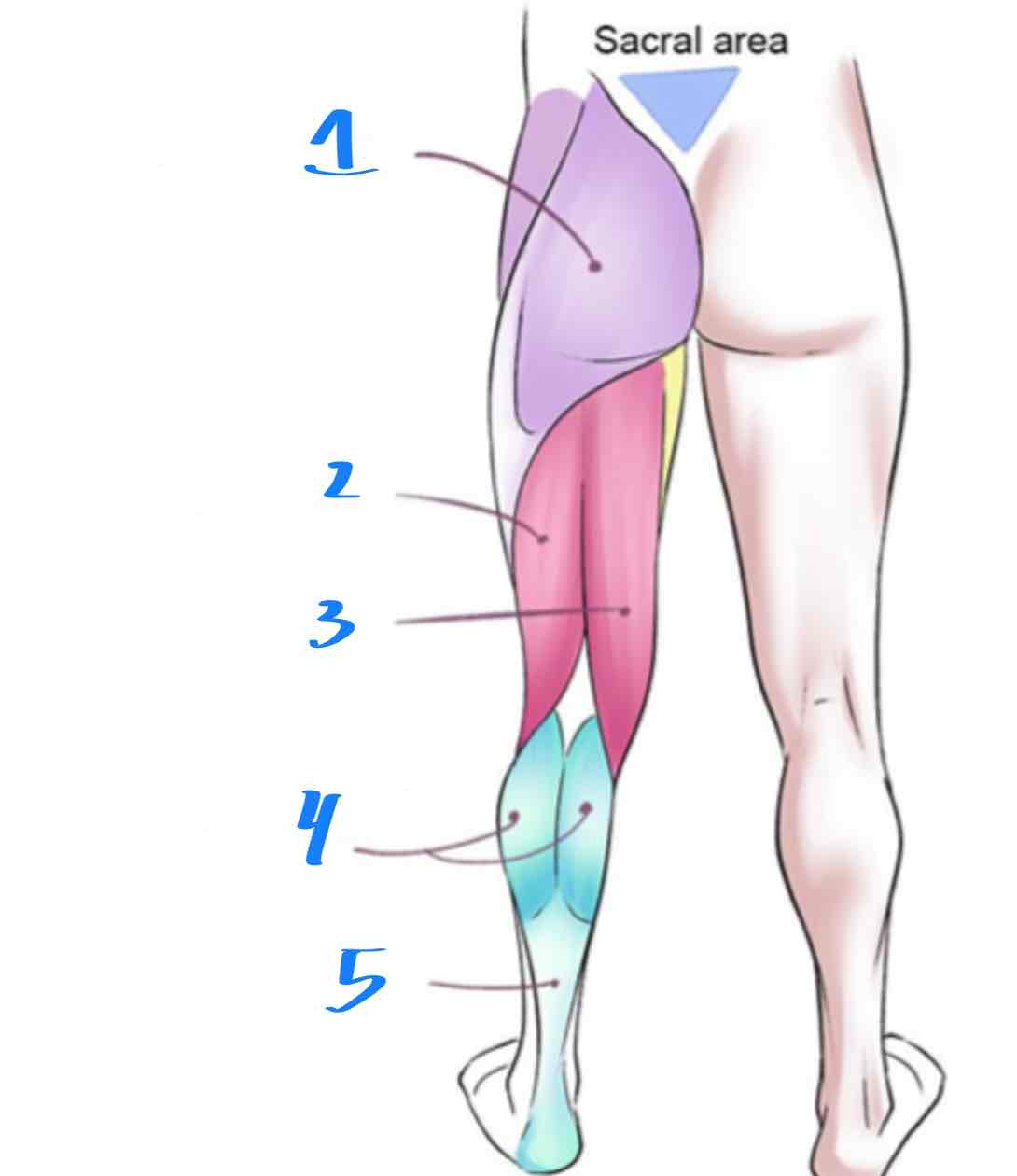 <p>2</p>