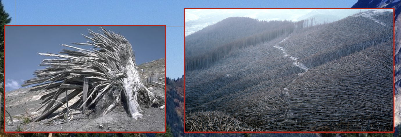 Definition:

* An eruption directed away from a volcano where materials are blown parallel to the surface.

\
Example:

* A lateral blast from Mt. St. Helens flattened forests for over 20km 