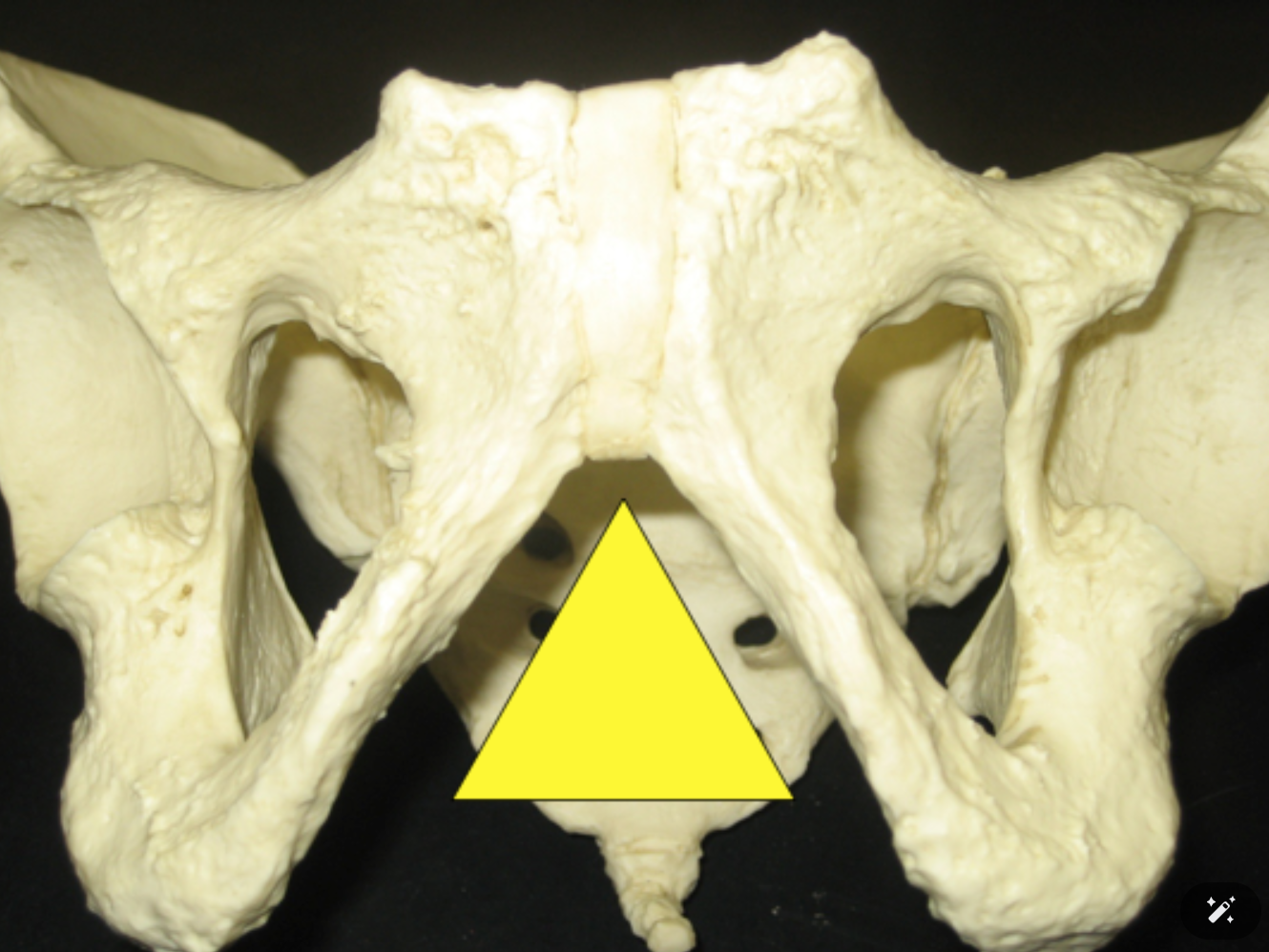 <p><span>Is this individual male or female?</span></p>