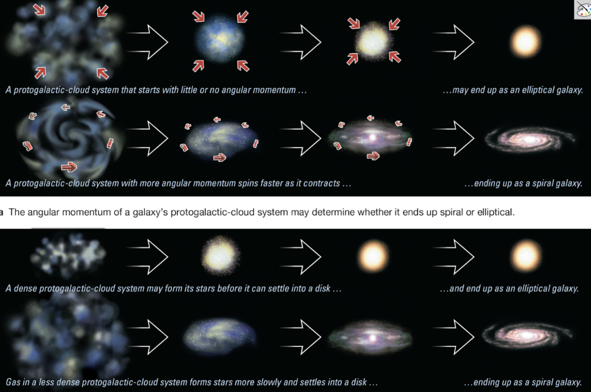 <p><span style="background-color: transparent;"><span>Two initial things that dictate why galaxies differ - </span><strong><span>conditions in the protogalactic cloud</span></strong></span></p><ol><li><p><span style="background-color: transparent;"><span>Spin</span></span></p></li></ol><ul><li><p><span style="background-color: transparent;"><span>The initial angular momentum of the protogalactic cloud could determine the size of the resulting disk</span></span></p></li></ul><ol><li><p><span style="background-color: transparent;"><span>More spin + higher angular momentum = Spiral galaxy</span></span></p></li><li><p><span style="background-color: transparent;"><span>Less spin = lower angular momentum = Elliptical</span></span></p></li></ol><ol start="2"><li><p><span style="background-color: transparent;"><span>Density</span></span></p></li></ol><ul><li><p><span style="background-color: transparent;"><span>Elliptical galaxies could come from dense protogalactic clouds that were able to cool and form stars before gas settled into a disk</span></span></p></li></ul><ol><li><p><span style="background-color: transparent;"><span>High density = Elliptical </span></span></p></li><li><p><span style="background-color: transparent;"><span>Lower density = Spiral galaxy</span></span></p></li><li><p><span style="background-color: transparent;"><span>Behavior of elliptical galaxies is like the bulge essentially</span></span></p></li></ol><p></p>