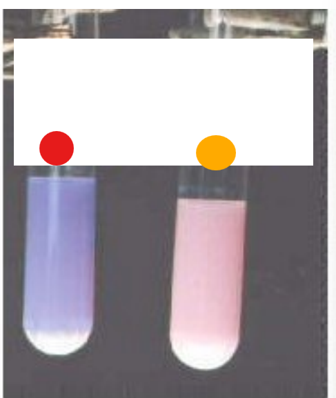 <p>orange</p>