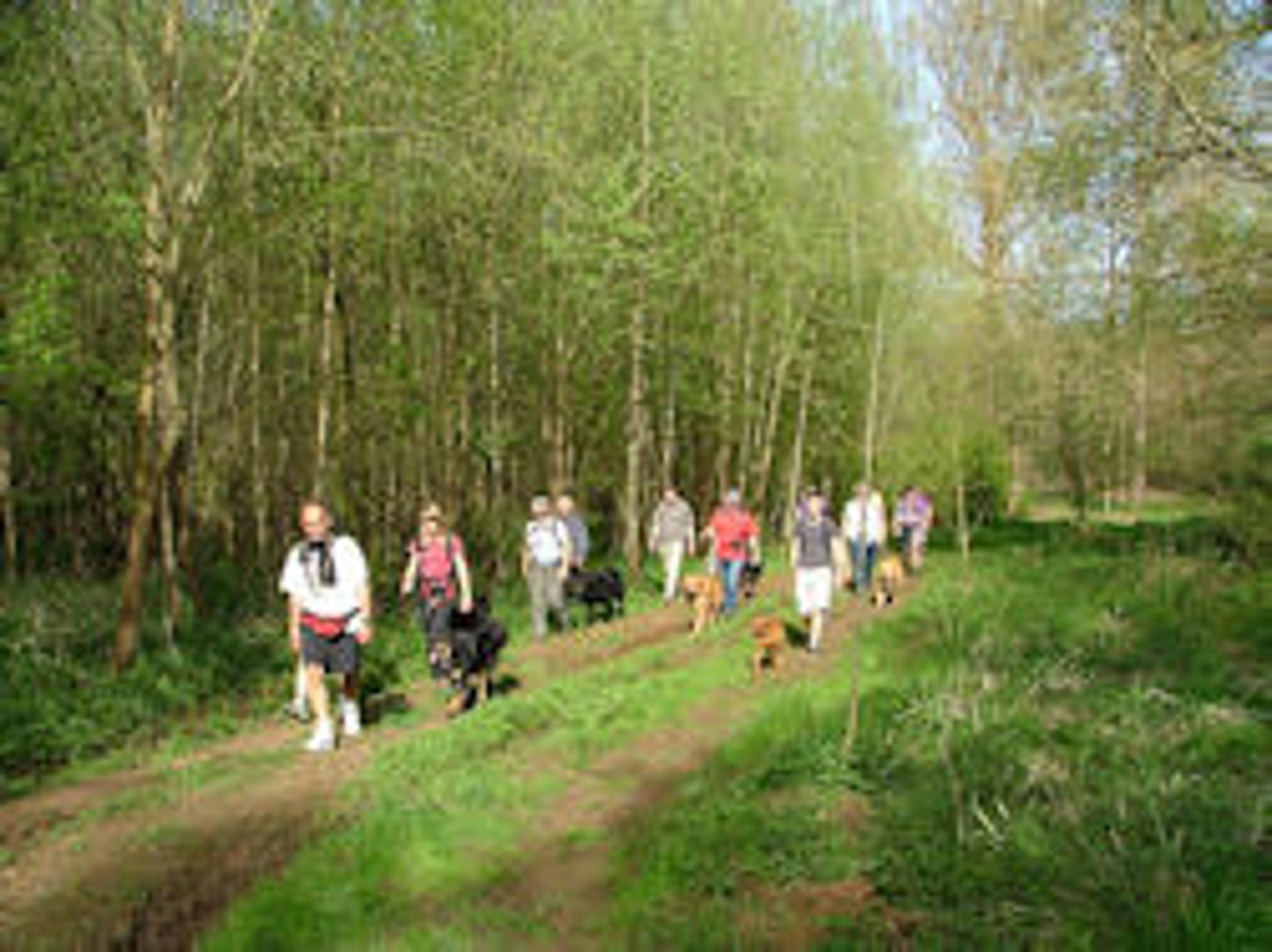 <p>la promenade, la balade</p>