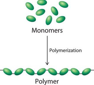 <p>Polymer</p>