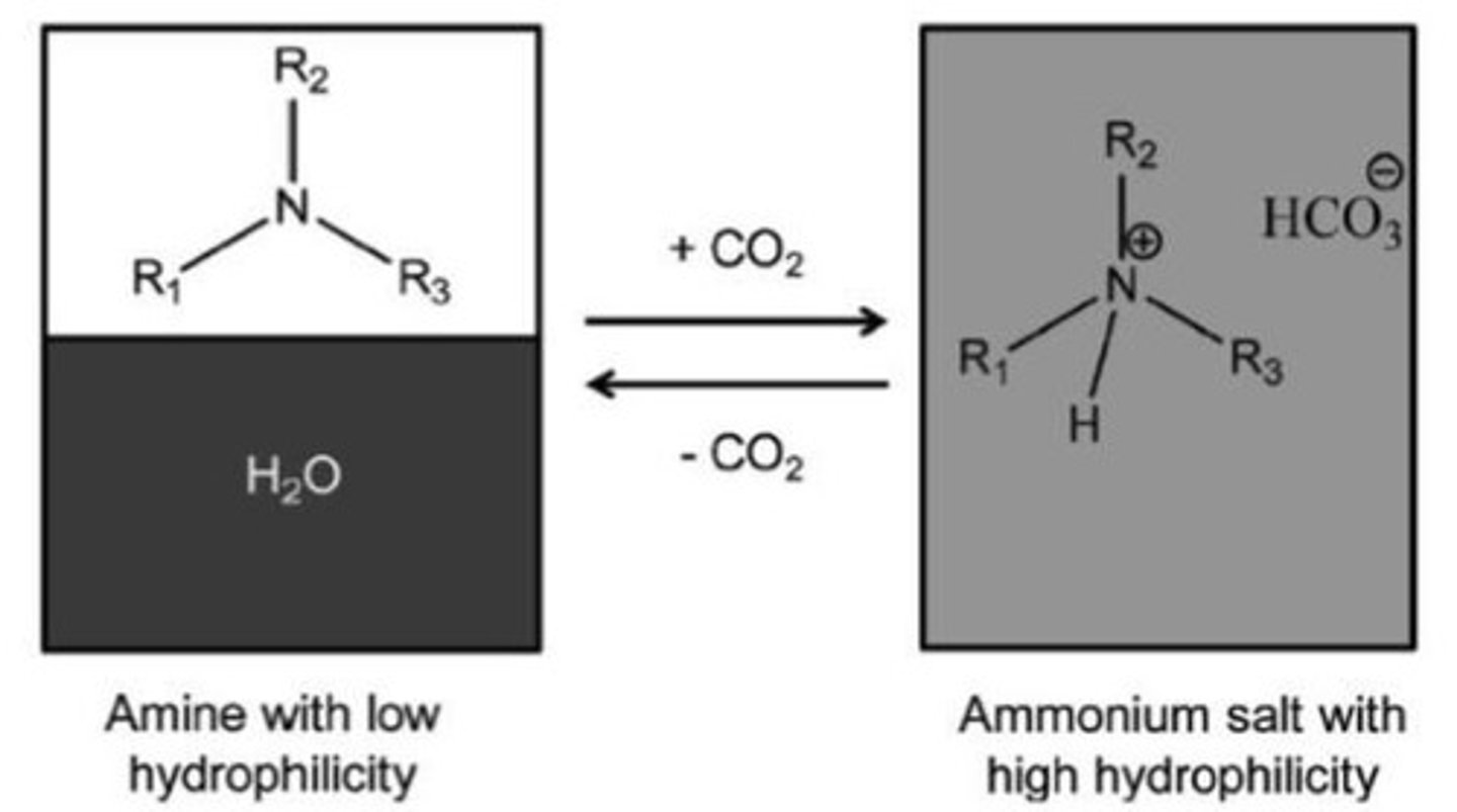 <p>-Protonates the amine and produces a carbamate anion</p><p>-Aqueous phase is lost as H2O is used to make the salt, hence 2 phases to 1 phase</p>