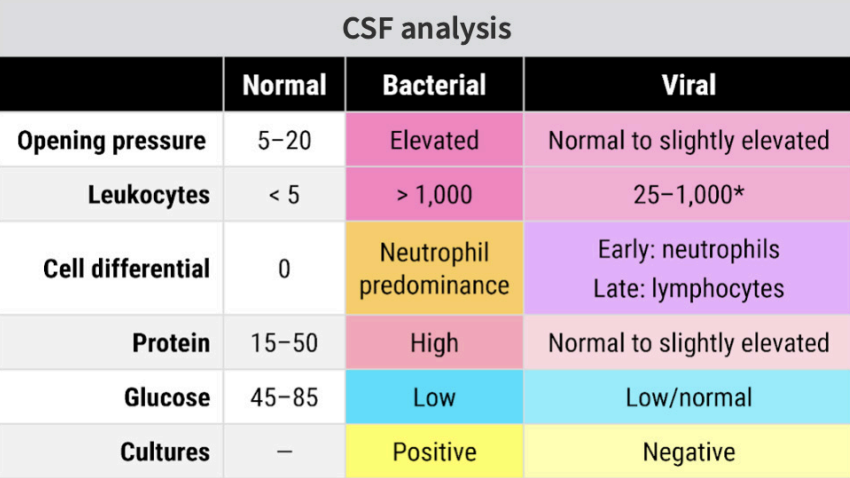 <ul><li><p>S/s: Fever, <strong>neck stiffness</strong>, headache, AMS, seizures, <strong>meningeal signs (Kernig &amp; Brudzinski)</strong></p><ul><li><p><strong>Petechial/ecchymotic rash if Neisseria meningitidis</strong></p></li></ul></li><li><p>Dx: <strong>CSF shows </strong><span><strong>↑</strong></span><strong> opening pressure, predominant neutrophils, </strong><span><strong>↓</strong></span><strong> glucose, </strong><span><strong>↑ protein</strong></span></p></li><li><p>Neonate Tx: <strong>Cefotaxime/Ceftriaxone + Ampicillin</strong></p></li><li><p>Older children/Adults Tx:  <strong>Cefotaxime/Ceftriaxone + Vancomycin</strong></p></li></ul><p></p>