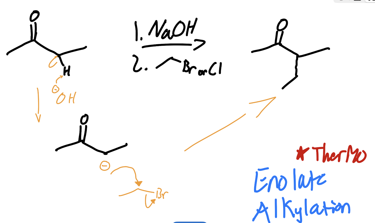 <p>Enolate Alkylation - Thermo conditions</p>
