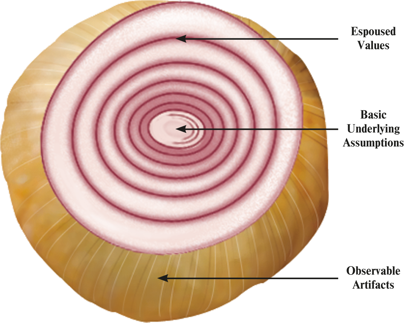 <ul><li><p><em>observable artifact</em></p></li></ul><p><</p><ul><li><p><em>espoused value</em></p></li></ul><p><</p><ul><li><p><em>underlying assumption</em></p></li></ul><p></p>