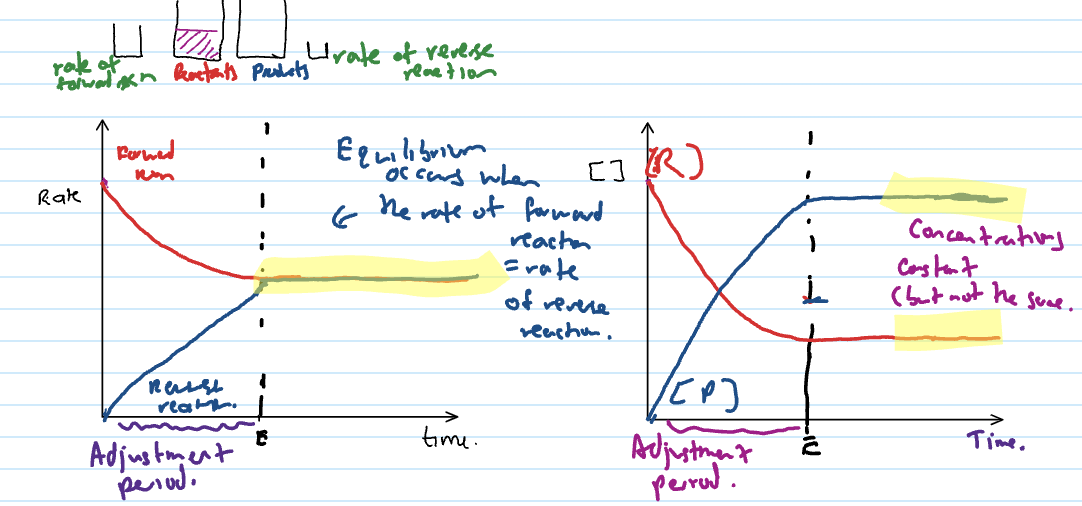 <p>the reaction is moving towards equilibrium but not at equilibrium</p><ul><li><p>anything before the lines become flat</p></li></ul><p></p>