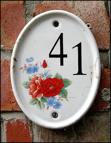 41