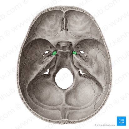 <p>What is the structure?</p>