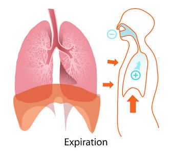 <p>Exhalation</p>
