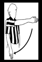 <p><strong>What Basketball Violation does this hand signal imply?</strong></p>