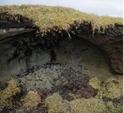 <p>Arctic Tundra Biome</p>