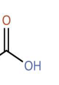 <p>What part of the amino acid is this?</p>