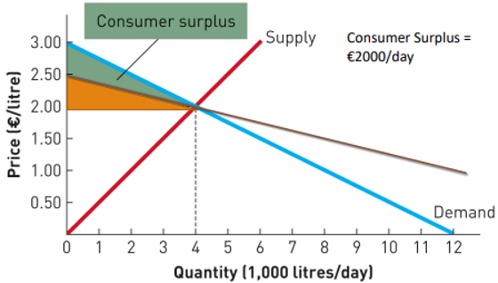 <p>the difference between a buyer’s reservation price and the price actually paid</p>