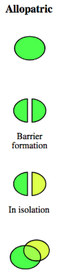 <p>when a physical barrier comes between a population and isolates them from each other</p>