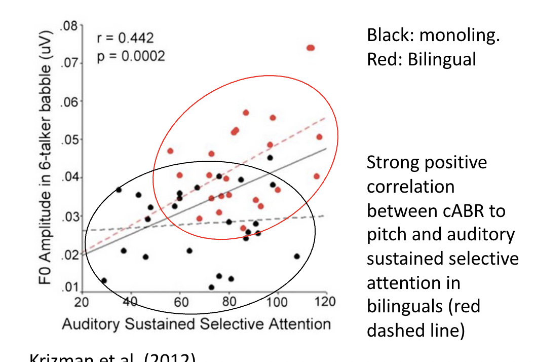 <p>cABR may reflect the efficiency of auditory sustained selective attention, with bilingual individuals showing enhanced attention-related effects compared to monolinguals. </p>