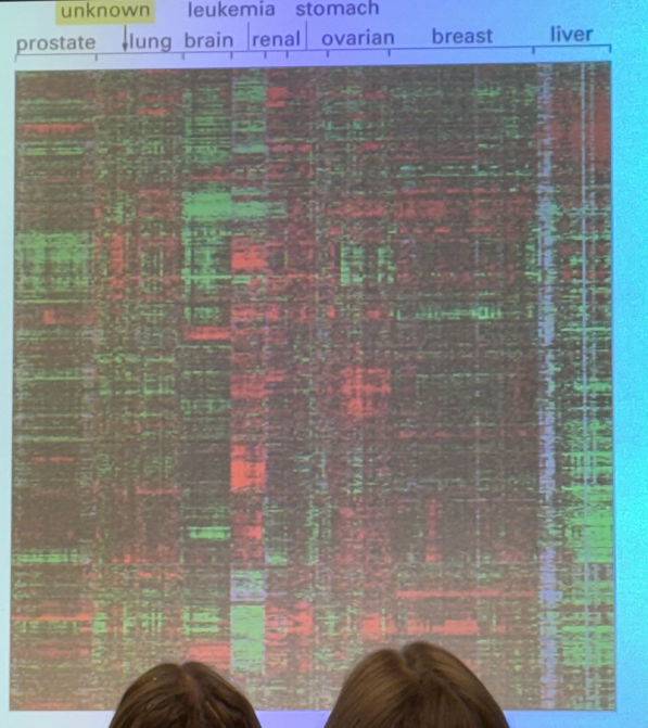 <p>looks at 10k genes simultaneously. y axis has thin lines stacked, and each corresponds to one gene. moving left to right, we see cells derived from tumors from a variety of different tissues. colors tell us the ratio of how much of a particular gene is expressed in the tumor vs a non-tumor in the same organ. if it expresses more than the normal, we see green. if the tumors express less of a gene than we see in a normal cell, we see red. in between, no color at all. not all identical to each other… but we can compare. i.e. we see a chunk of green genes all together, and we can compare to lung tumors where those same genes are underexpressed (red) vs breast tumors that don’t show much difference in expression compared to the regular cells.</p>