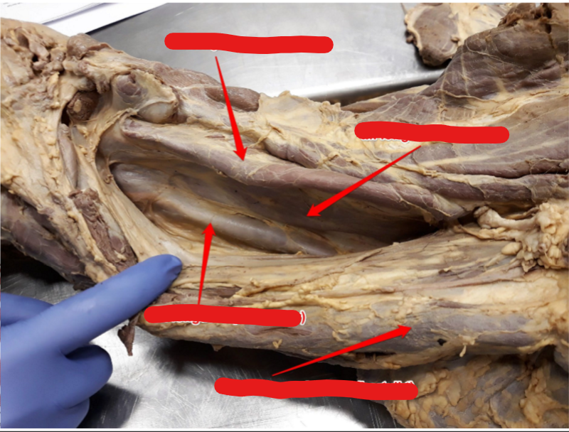 <p>Pilen i mitten, O, I</p>