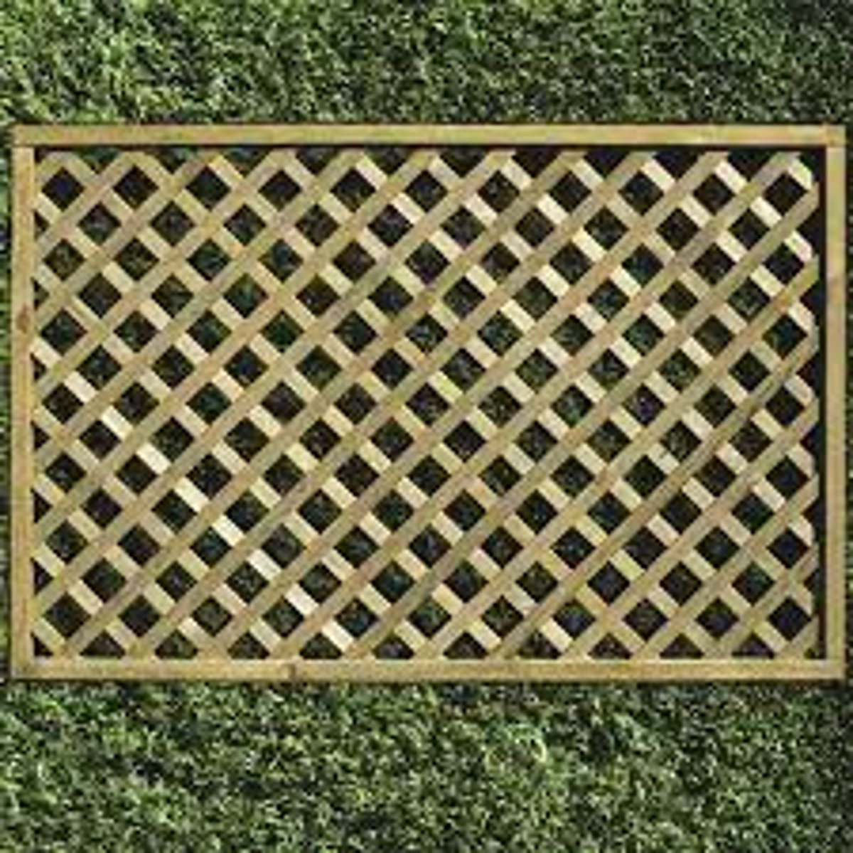 <p>LATTICE</p><p>a structure consisting of strips of wood or metal crossed and fastened together with square or diamond-shaped spaces left between, used typically as a screen or fence or as a support for climbing plants</p>