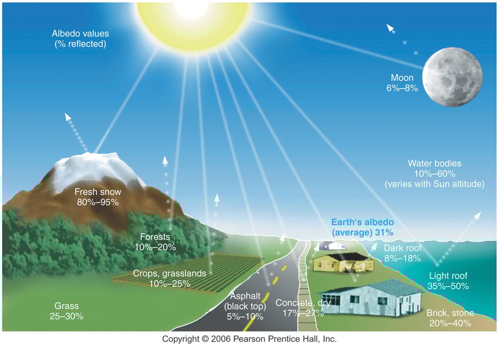 <p>Dark-colored surfaces that absorb more sunlight, warming the surface (e.g., forests or oceans).</p>
