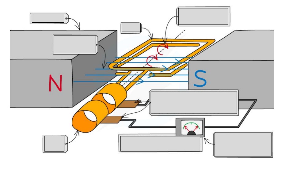 <p>magnets, coil, steady rate of rotation, magnetic field lines, brushes in continuous contact with the commutator rings, slip rings, alternating potential difference, meter pointer swings from side to side</p>