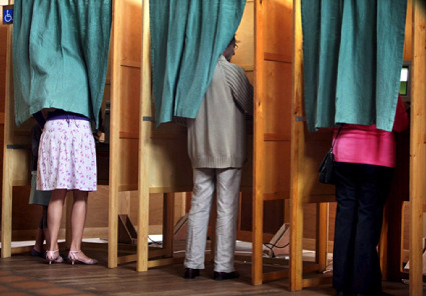 <p>voter</p>